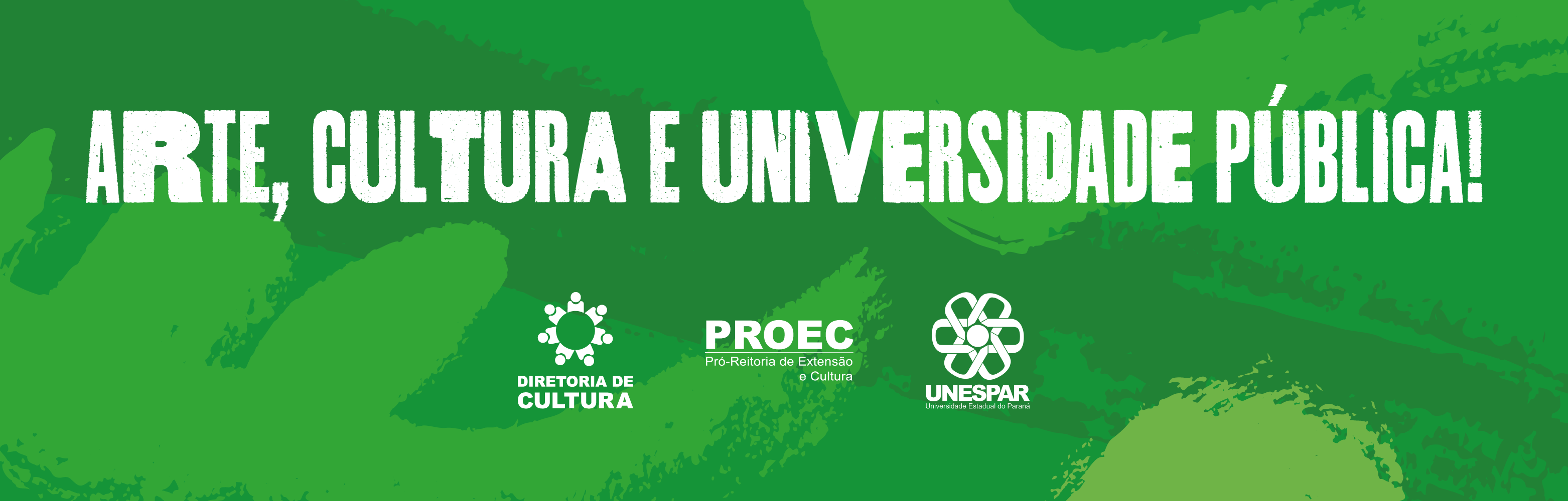 Arte Cultura e Universidade Publica